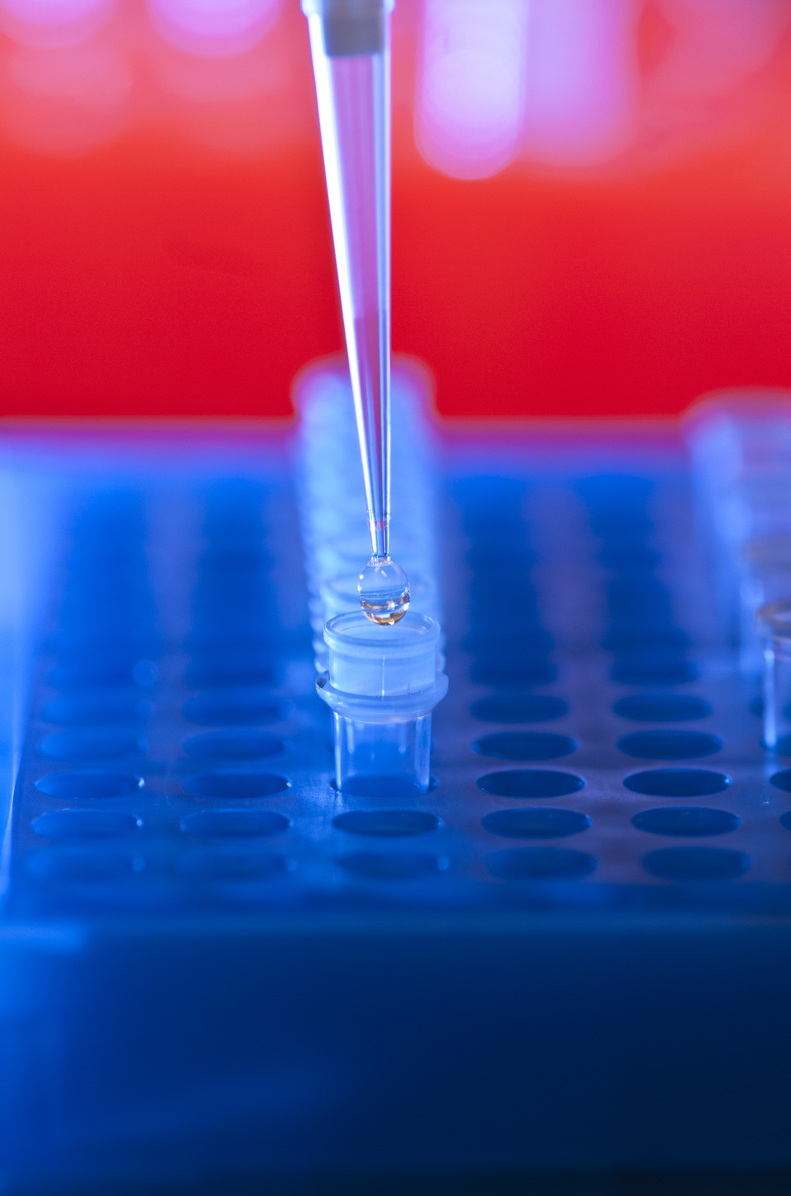 Pipettieren einer DNA-Lösung