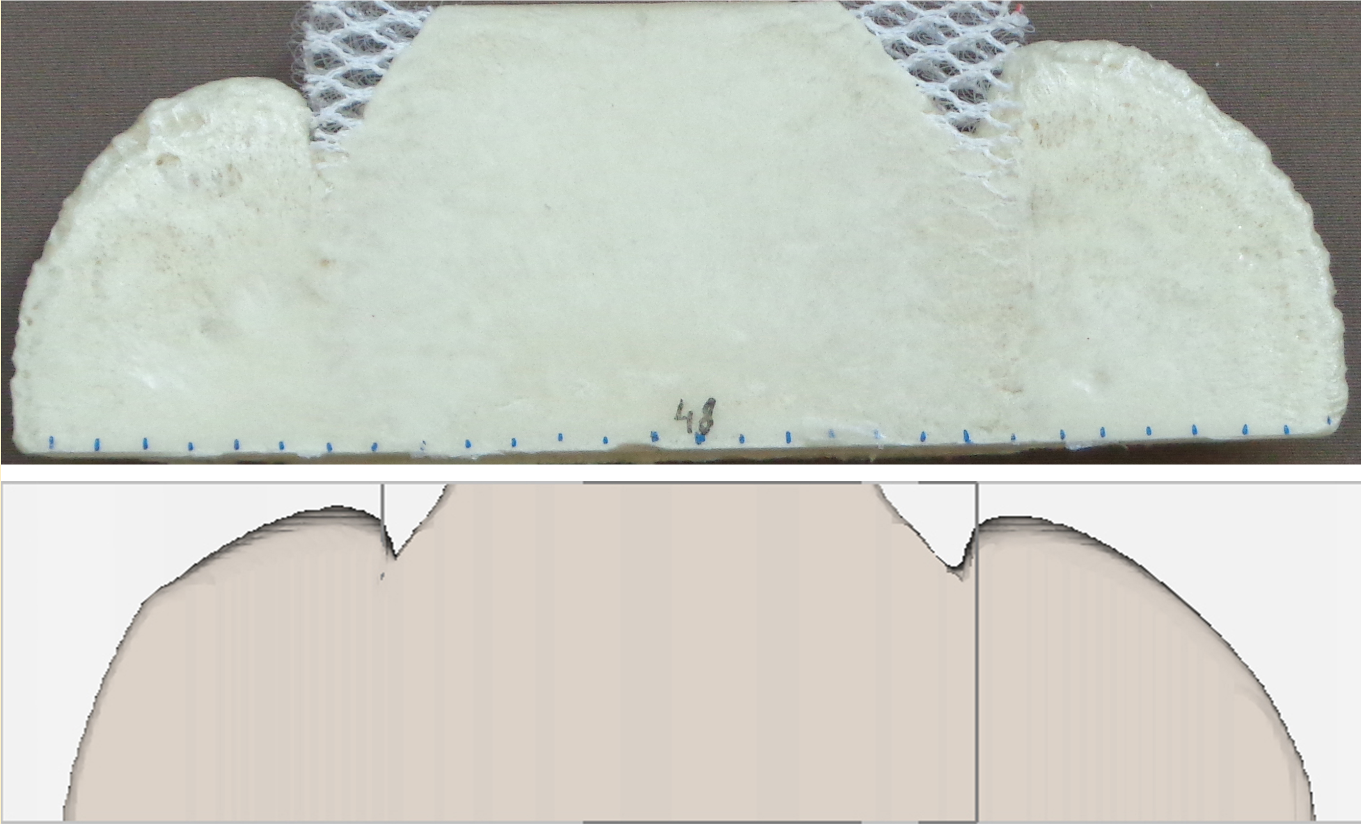 A comparison of the foam expansion shows the great consistency of the experimentally produced foam at the TU Chemnitz and our prediction simulated by our platform CoRheos.